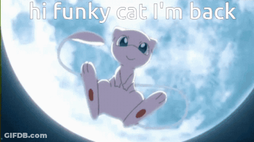 Cat Saying Hi Funky Cat I'm Back GIF