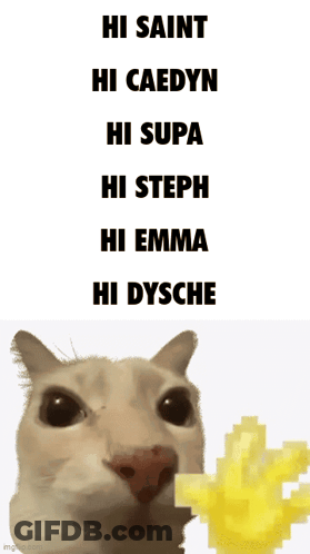 Cat Saying Hi Saint Hi Caedyn Hi Supa Hi Steph Hi Emma Hi Dysche GIF