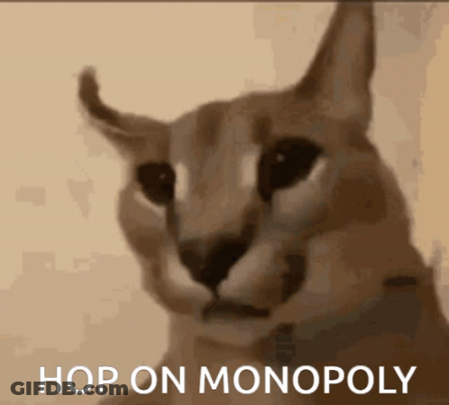 Cat Saying Hop On Monopoly GIF