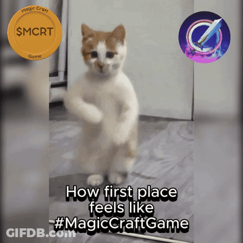 Cat Saying How First Place Feels Like GIF