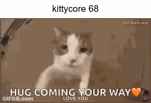 Cat Saying Hug Coming Your Way Love You GIF
