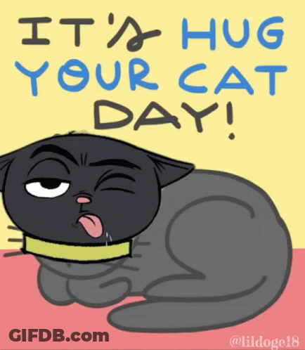 Cat Saying Hug Your Cat Day GIF