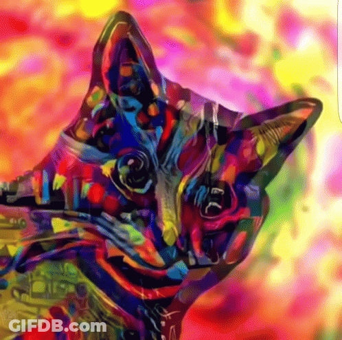 Cat Saying I Love You GIF
