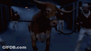 Cat Saying I Love You So Dance GIF