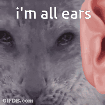 Cat Saying I'm All Ears GIF