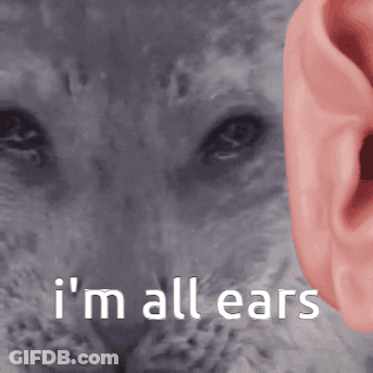 Cat Saying I'm All Ears GIF