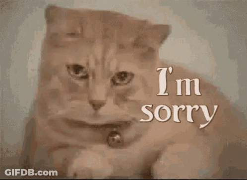 Cat Saying I'm Sorry GIF