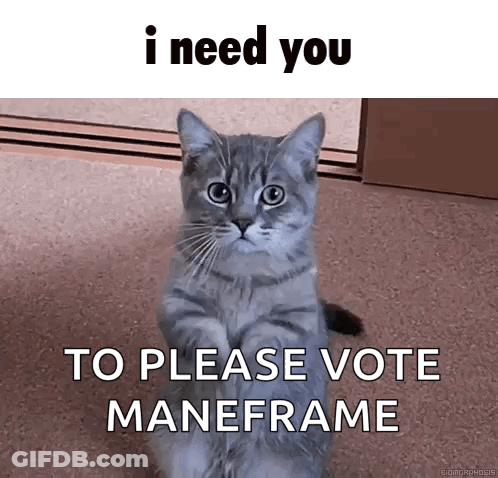 Cat Saying I Need You Please Vote Maneframe GIF