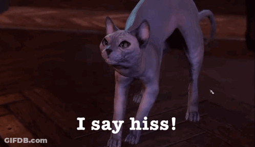 Cat Saying I Say Hiss GIF
