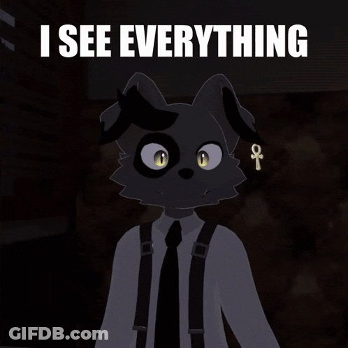 Cat Saying I See Everything GIF