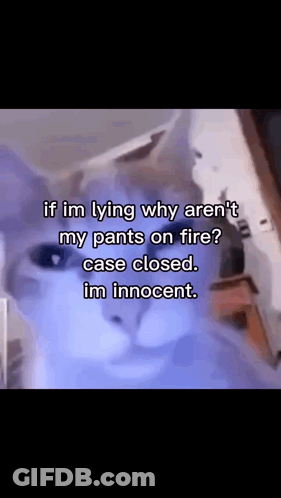 Cat Saying If I'm Lying Why Aren't My Pants On Fire GIF