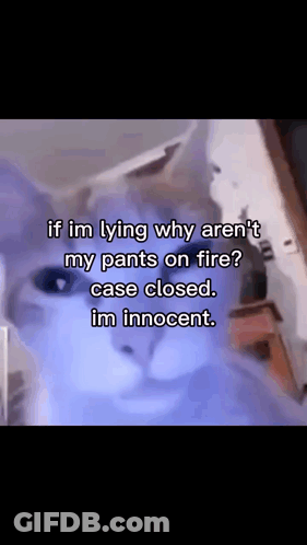 Cat Saying If Im Lying Why Arent My Pants On Fire GIF