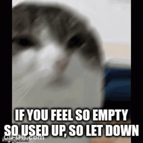 Cat Saying If You Feel So Empty So Used Up So Let Down GIF