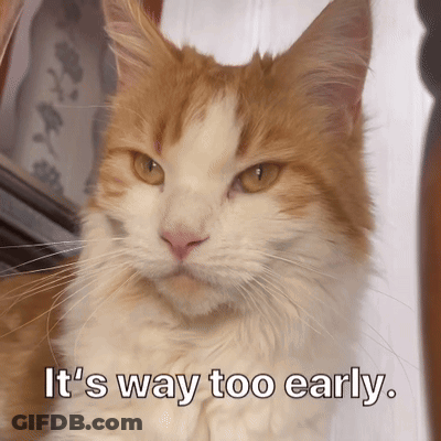 Cat Saying It's Way Too Early GIF