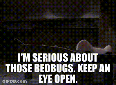 Cat Saying Keep An Eye Open GIF