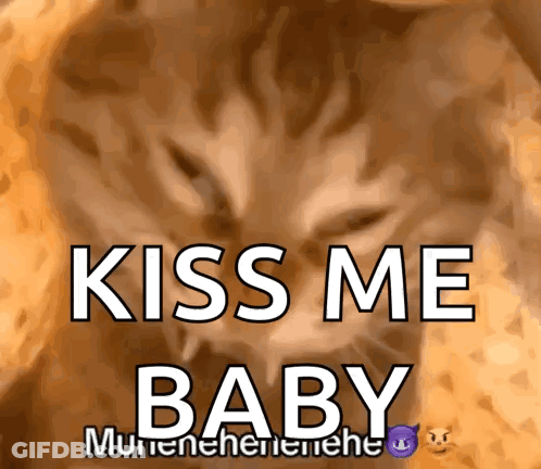 Cat Saying Kiss Me Baby GIF