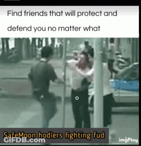 Cat Saying Ladies Don't Start Fights But They Can Finish Them GIF