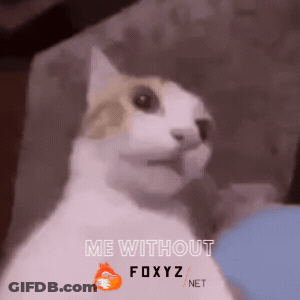 Cat Saying Me Without Foxyz GIF