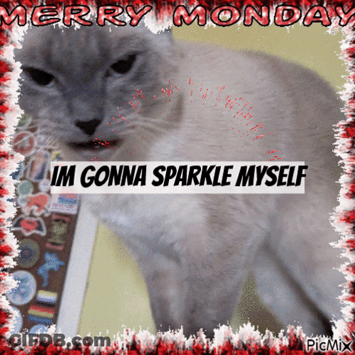Cat Saying Merry Monday GIF