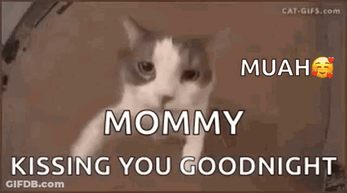 Cat Saying Mommy Muah Goodnight GIF