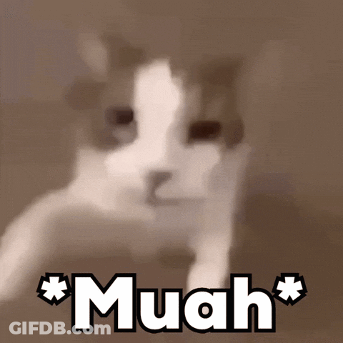 Cat Saying Muah GIF