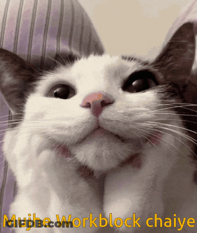 Cat Saying Mujhe Workblock Chaiy GIF