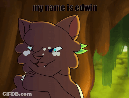 Cat Saying My Name Is Edwin GIF