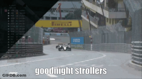 Cat Saying Nap Time Want Hug GIF