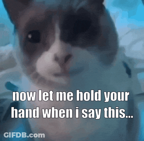 Cat Saying Now Let Me Hold Your Hand GIF