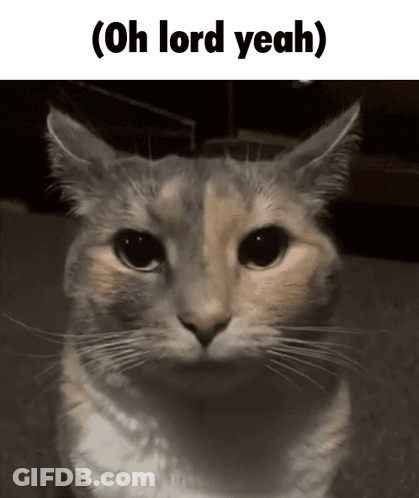 Cat Saying Oh Lord Yeah GIF