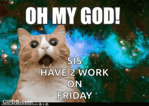 Cat Saying Oh My God Sis Have 2 Work Friday Galaxy GIF