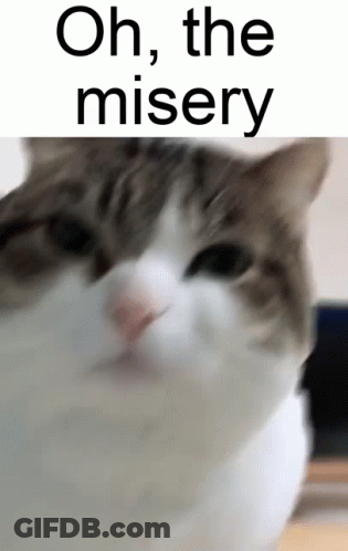 Cat Saying Oh The Misery GIF