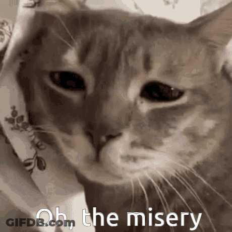 Cat Saying Oh The Misery GIF
