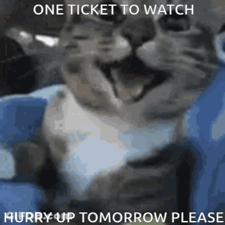 Cat Saying One Ticket To Watch Hurry Up Tomorrow Please GIF