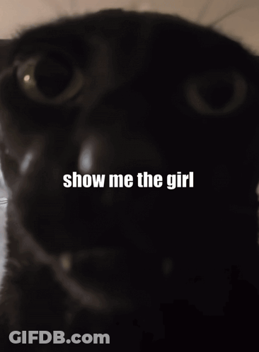 Cat Saying Show Me The Girl GIF