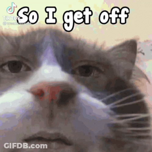 Cat Saying So I Get Off GIF