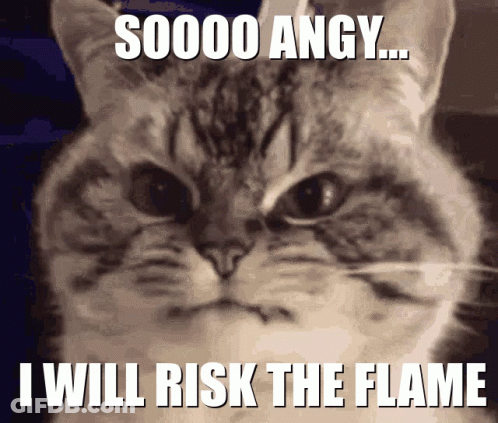 Cat Saying Soooo Angy I Will Risk The Flame GIF
