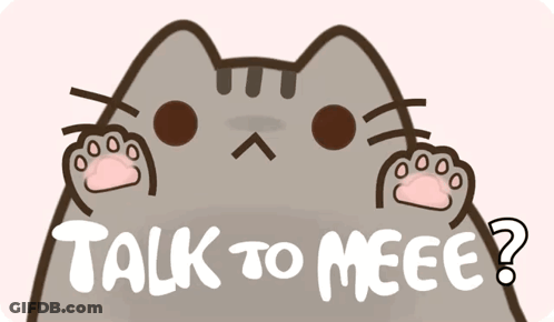 Cat Saying Talk To Me GIF