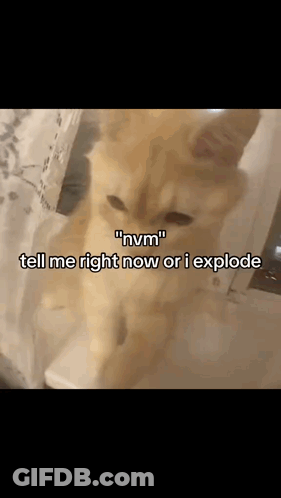 Cat Saying Tell Me Right Now Or I Explode GIF