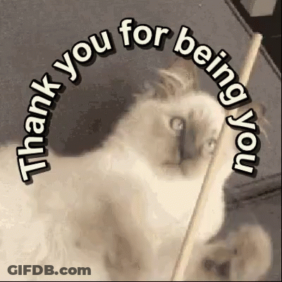 Cat Saying Thank You For Being You GIF