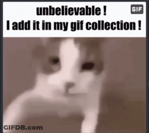 Cat Saying Unbelievable I Add It In My GIF Collection GIF
