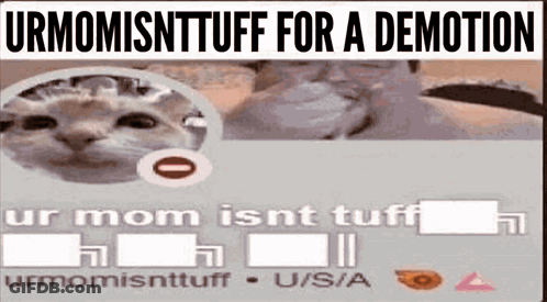 Cat Saying Urmomisnttuff For A Demotion GIF