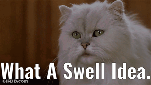 Cat Saying What A Swell Idea GIF