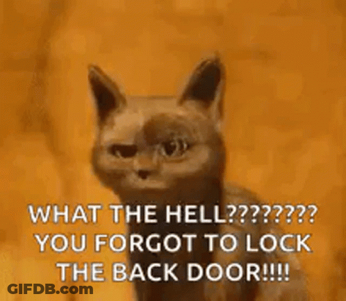 Cat Saying What The Hell You Forgot To Lock The Back Door GIF