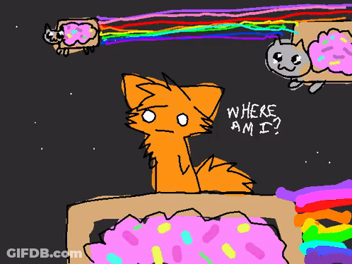 Cat Saying Where Am I GIF