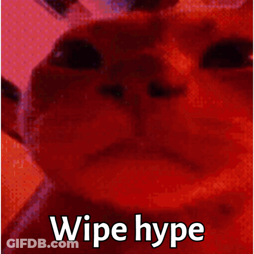Cat Saying Wipe Hype GIF