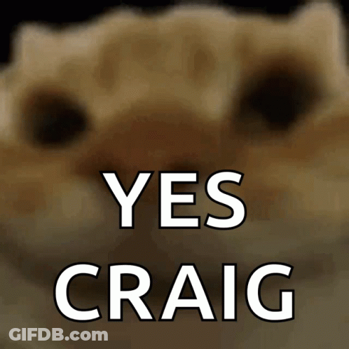 Cat Saying Yes Craig GIF