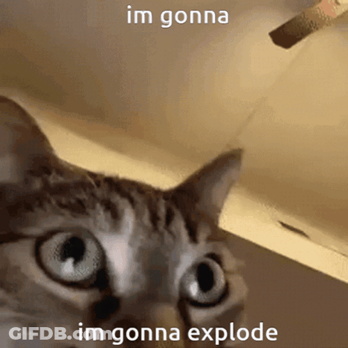 Cat Says I'm Gonna Explode GIF
