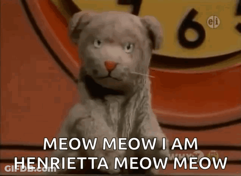 Cat Says Meow Meow I Am Henrietta Meow Meow In Front Of Clock GIF