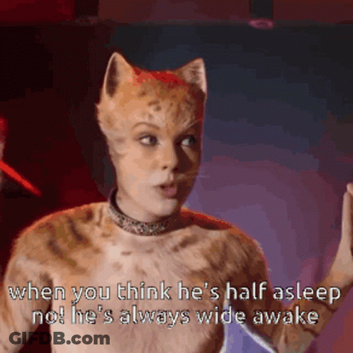 Cat Says When You Think He's Half Asleep No GIF